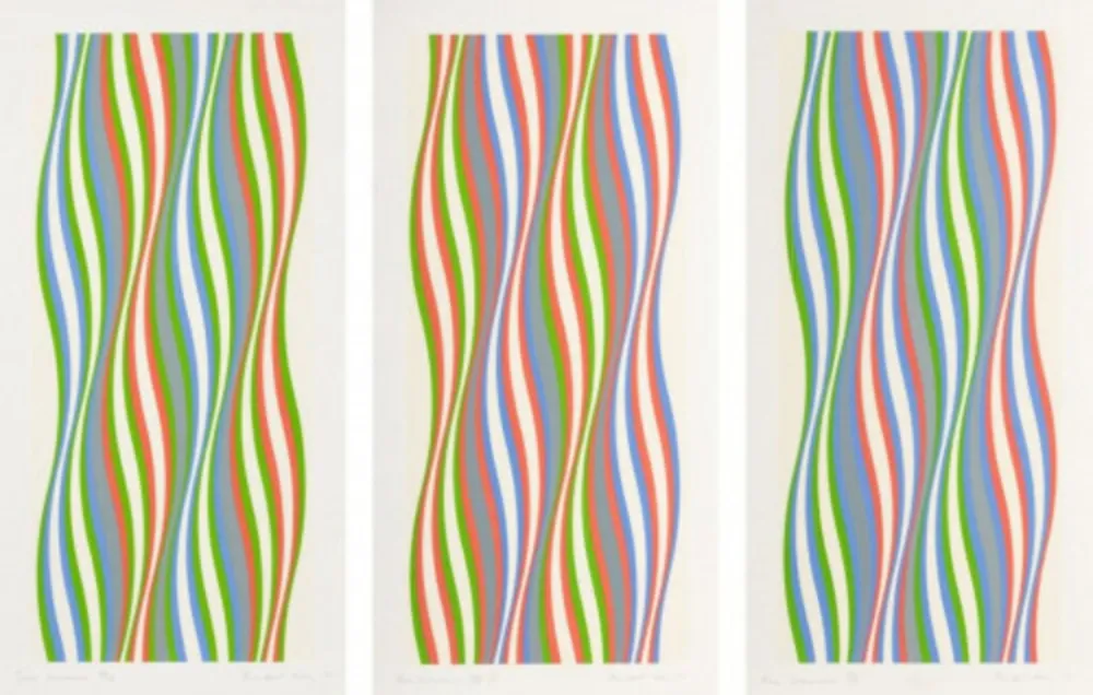 Screenprint Riley - Green Dominance, Blue Dominance, Red Dominance (set of 3)