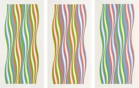 Screenprint Riley - Green Dominance, Blue Dominance, Red Dominance (set of 3)