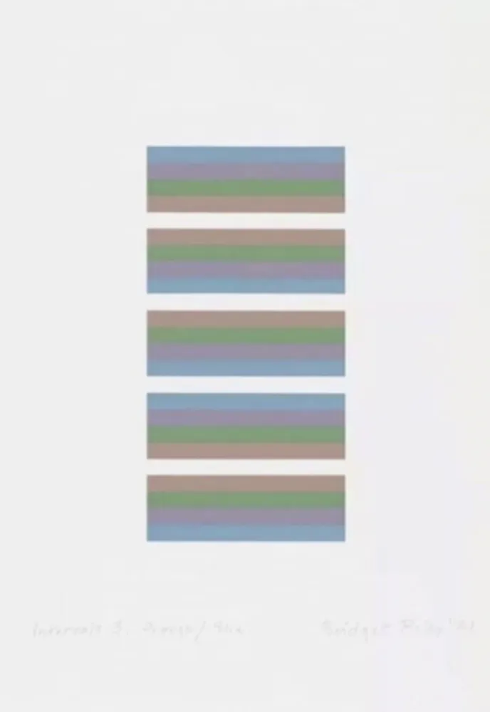 Screenprint Riley - Intervals 3 - Orange / Blue