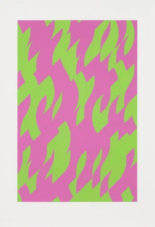Screenprint Riley - Magenta and Green