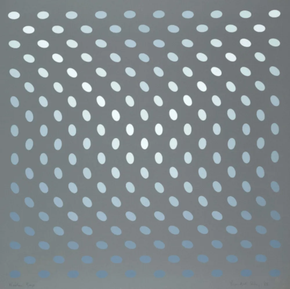 Screenprint Riley - Nineteen Greys A