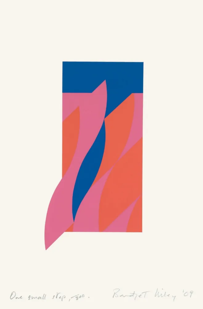 Screenprint Riley - One small step