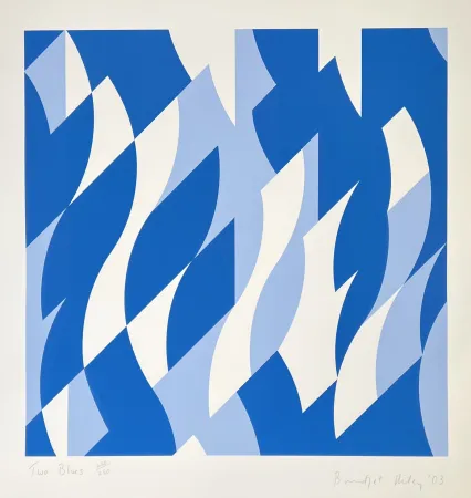 Screenprint Riley - Two Blues