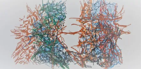 Lithograph Riopelle - Album #7 Cat. No. 221