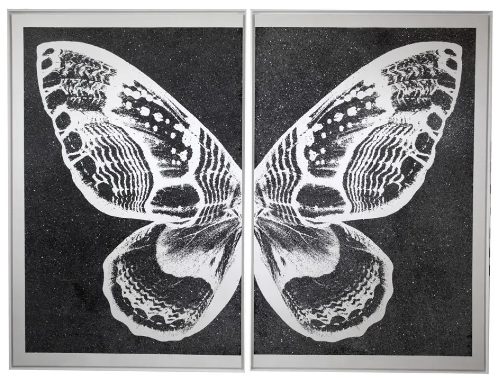 Screenprint Robierb - Hybrid Silver Butterfy II on Black