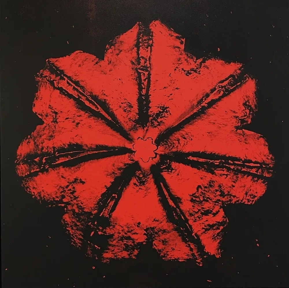 Screenprint Robierb - Power Flower N-1 (Red on Black)