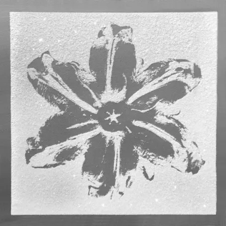 Screenprint Robierb - Power Flower (Silver)