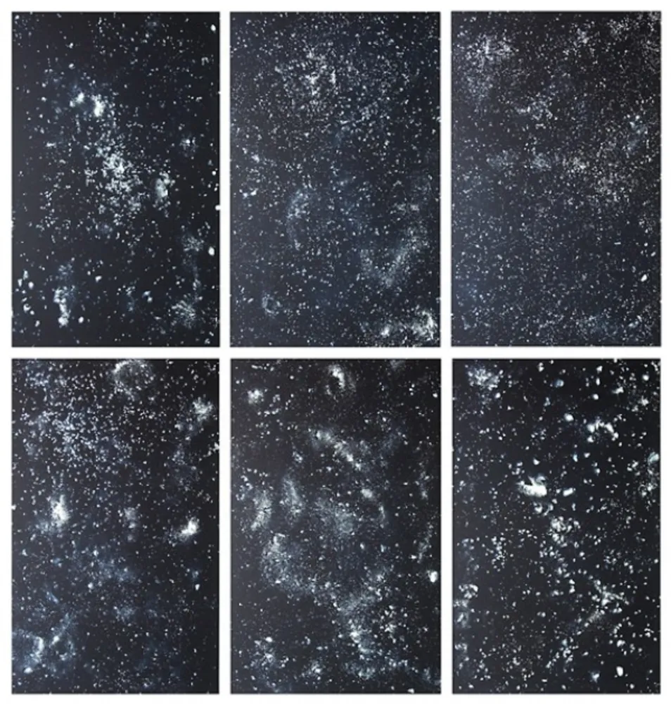 Lithograph Rondinone - Stars, portfolio