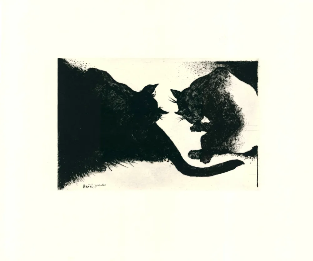 Drypoint Rose - Nightcats