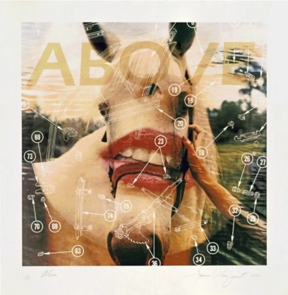 Lithograph Rosenquist - Above