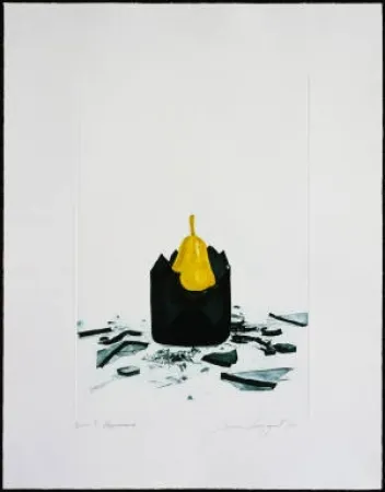 Etching And Aquatint Rosenquist - Appearance