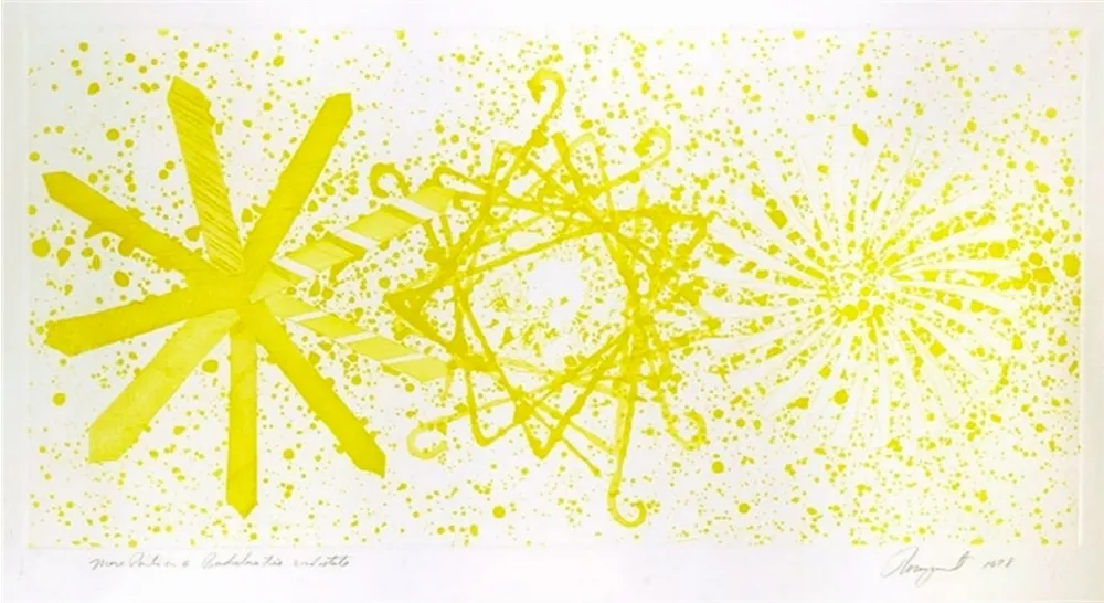 Aquatint Rosenquist - More Points on a Bachelor's Tie - 2 state