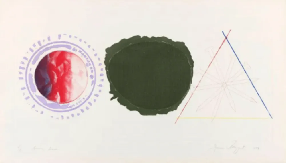 Etching And Aquatint Rosenquist - Swing Screen