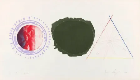 Etching And Aquatint Rosenquist - Swing Screen