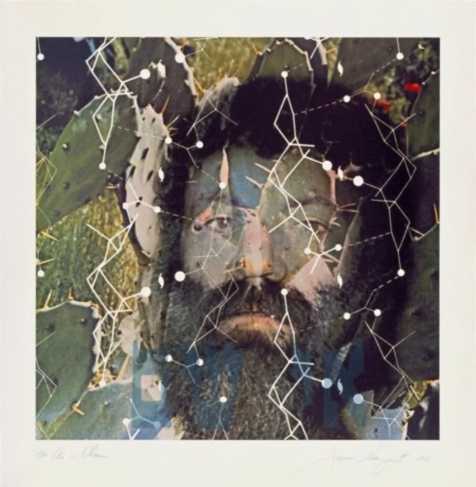 Lithograph Rosenquist - The