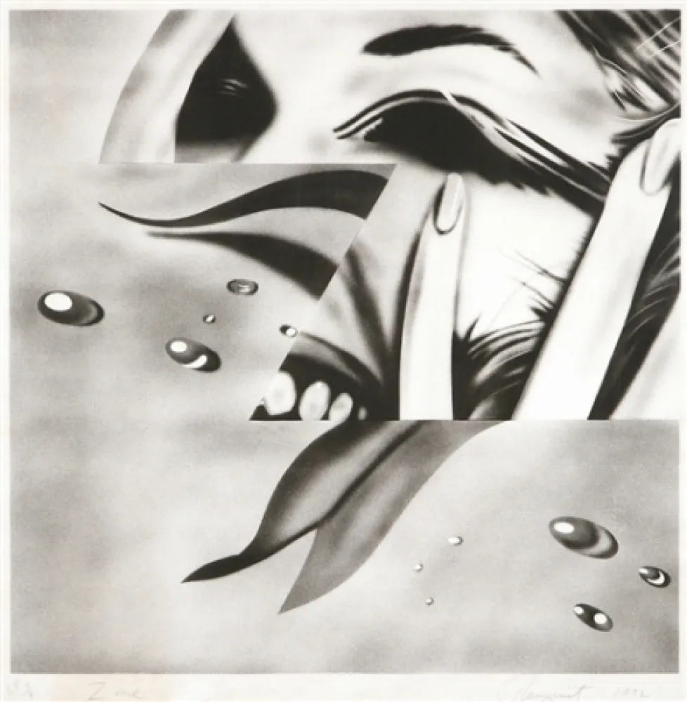 Lithograph Rosenquist - Zone