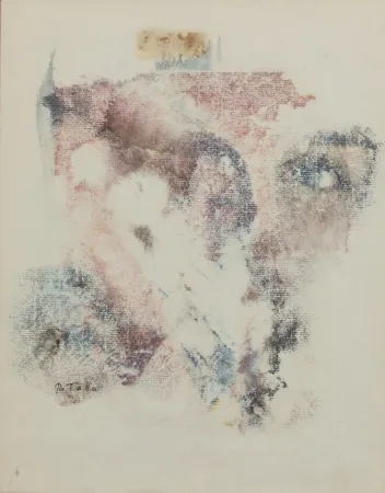 No Technical Rotella - SENZA TITOLO