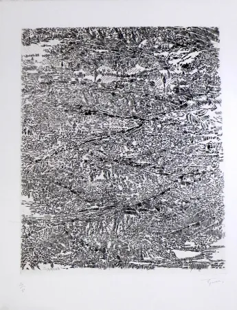 Etching And Aquatint Rouan  - Arena