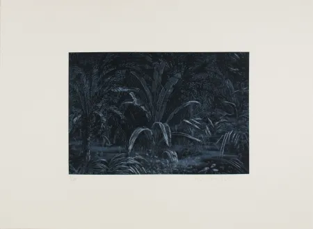 Engraving Roy-Camille - Le remplissage des blancs sur la carte