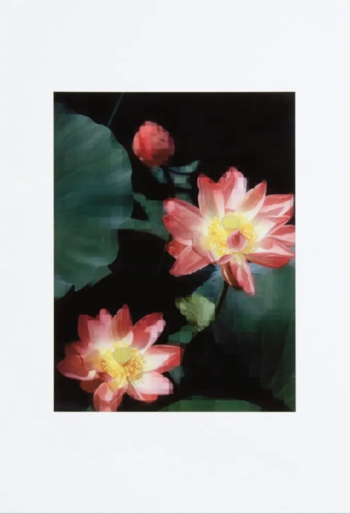 No Technical Ruff - Lotus Flower