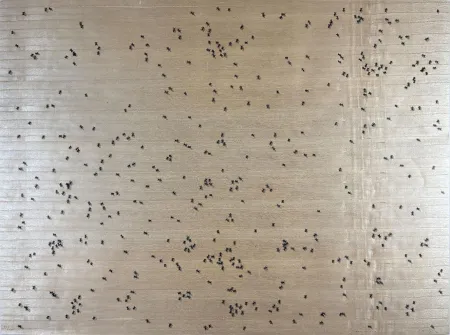 Screenprint Ruscha - Black Ants from the Insects Portfolio