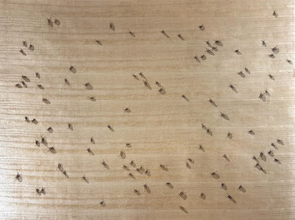 Screenprint Ruscha - Cockroaches from the Insects Portfolio