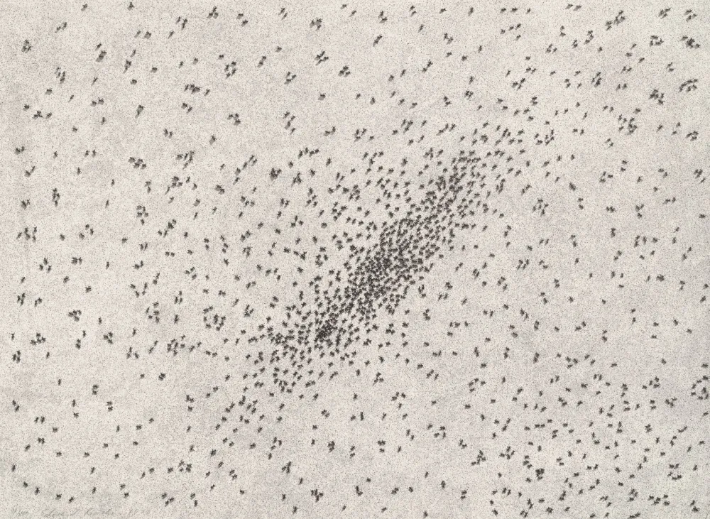 Lithograph Ruscha - Insect Slants (Ants)