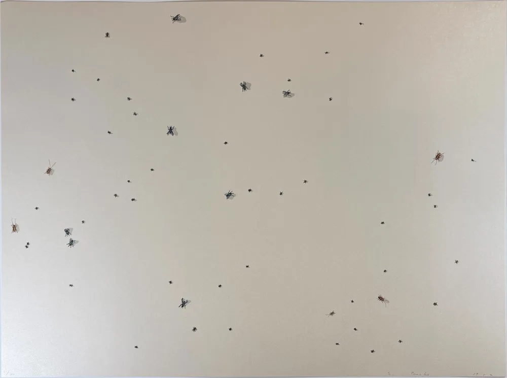Screenprint Ruscha - Pearl Dust Combination from the Insects Portfolio