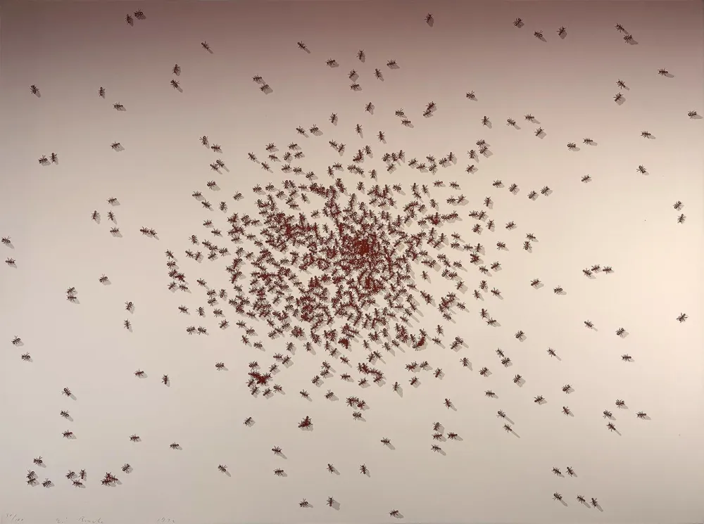 Screenprint Ruscha - Swarm of Red Ants from the Insects Portfolio
