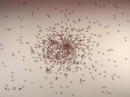 Screenprint Ruscha - Swarm of Red Ants from the Insects Portfolio