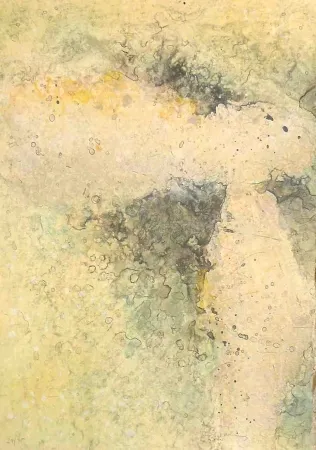 Etching Salinas - Dalet I