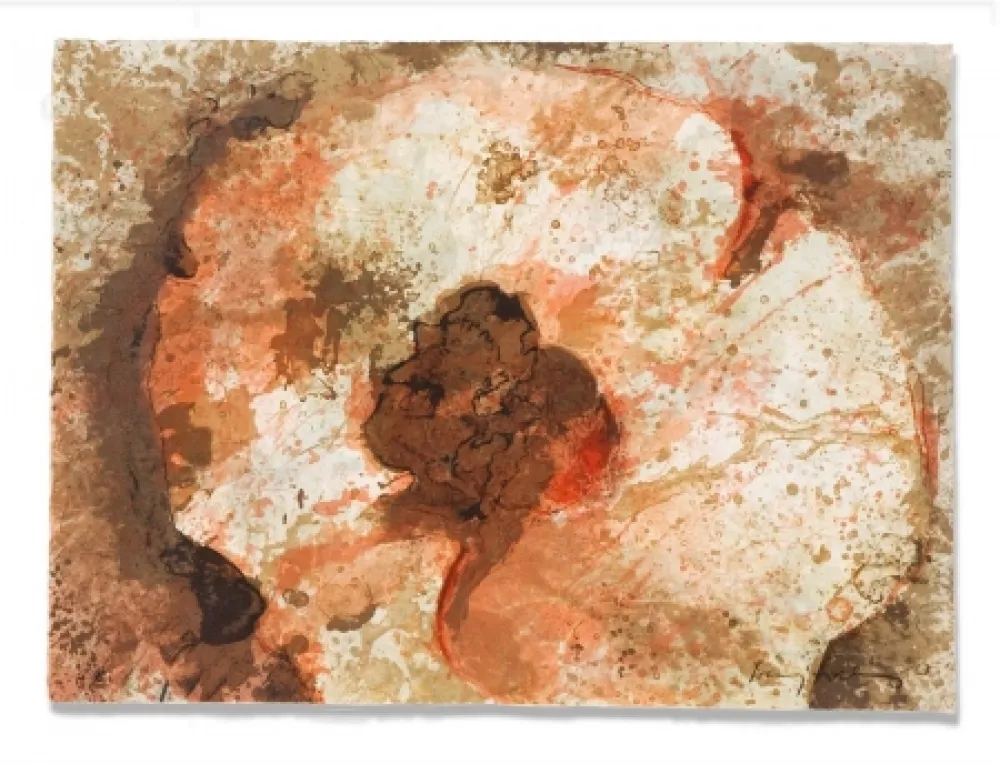 Etching Salinas - Hongo