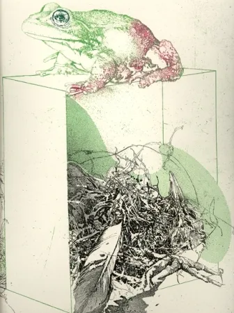 Etching And Aquatint Saroni - La rana sulla scatola