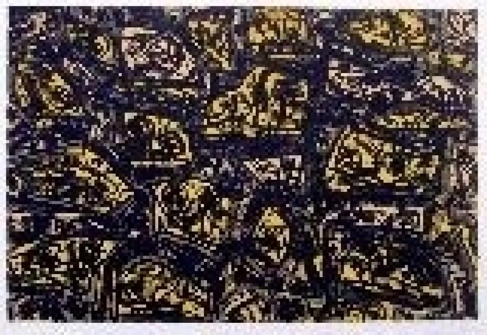 Lithograph Saura - Kafka 4