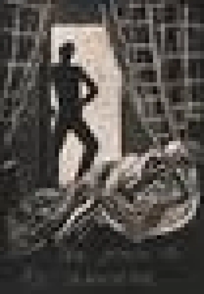 Illustrated Book Savin  - Sept vieilles chansons