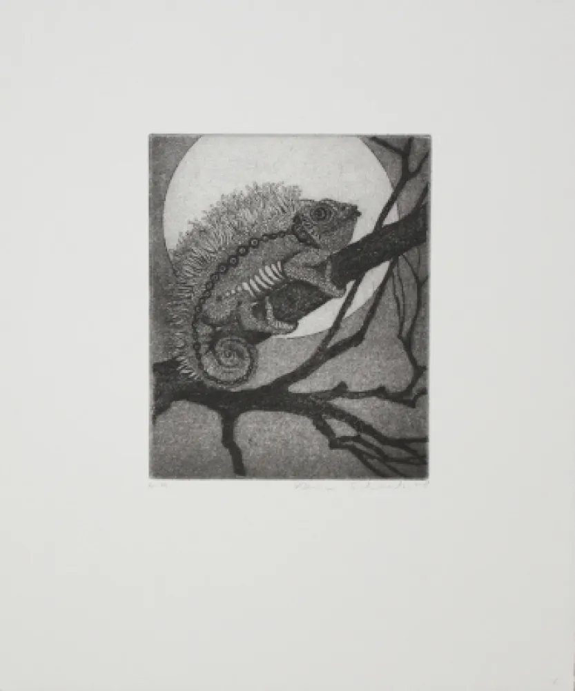 Etching And Aquatint Schaub - Chameleon