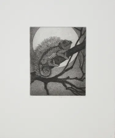 Etching And Aquatint Schaub - Chameleon