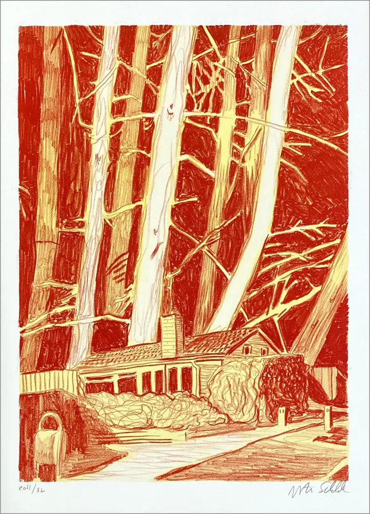 Lithograph Schelde - House in the woods