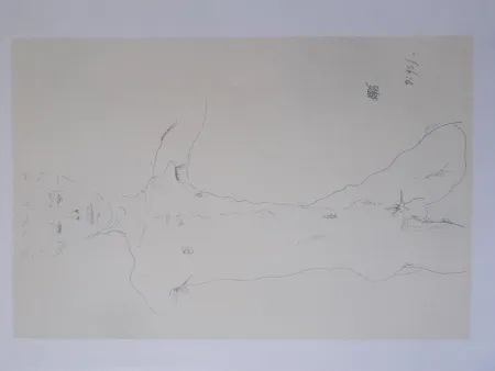 Lithograph Schiele - Standing male nude