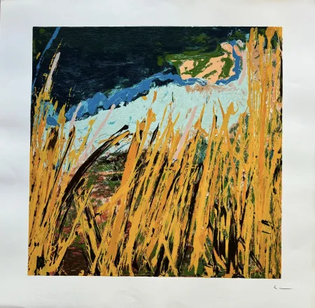 Lithograph Schifano - Mario Schifano (1934–1998) - Campi da terra - Enamel screen printing - 1990