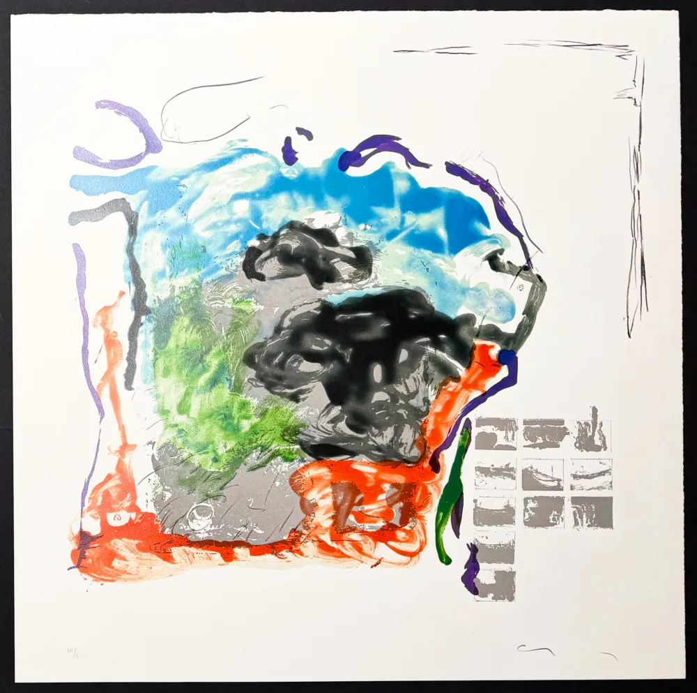 Lithograph Schifano - Mario Schifano (1934–1998) – Vedute ininterrotte – Lithograph with screen printing on paper – 1988