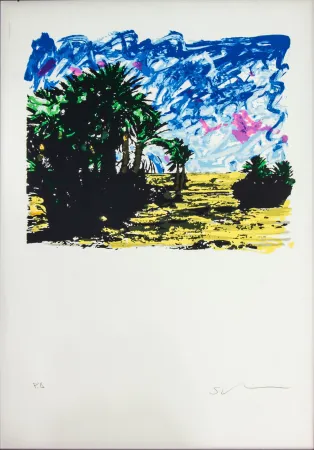 Lithograph Schifano - SENZA TITOLO