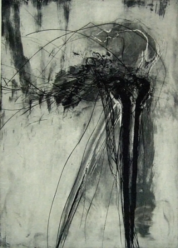 Drypoint Schober - Richiamo