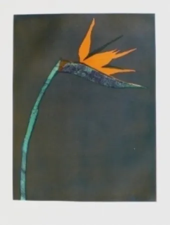 Etching Scholder - Flower at Barcelona