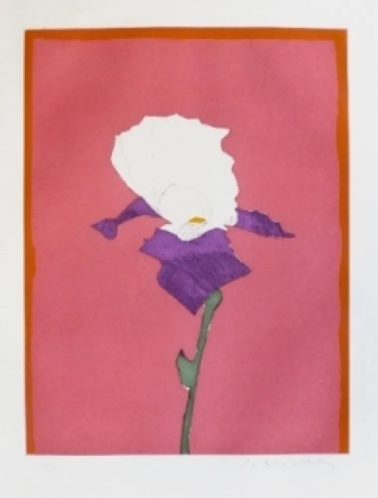 Etching Scholder - Flower at Giverney 1