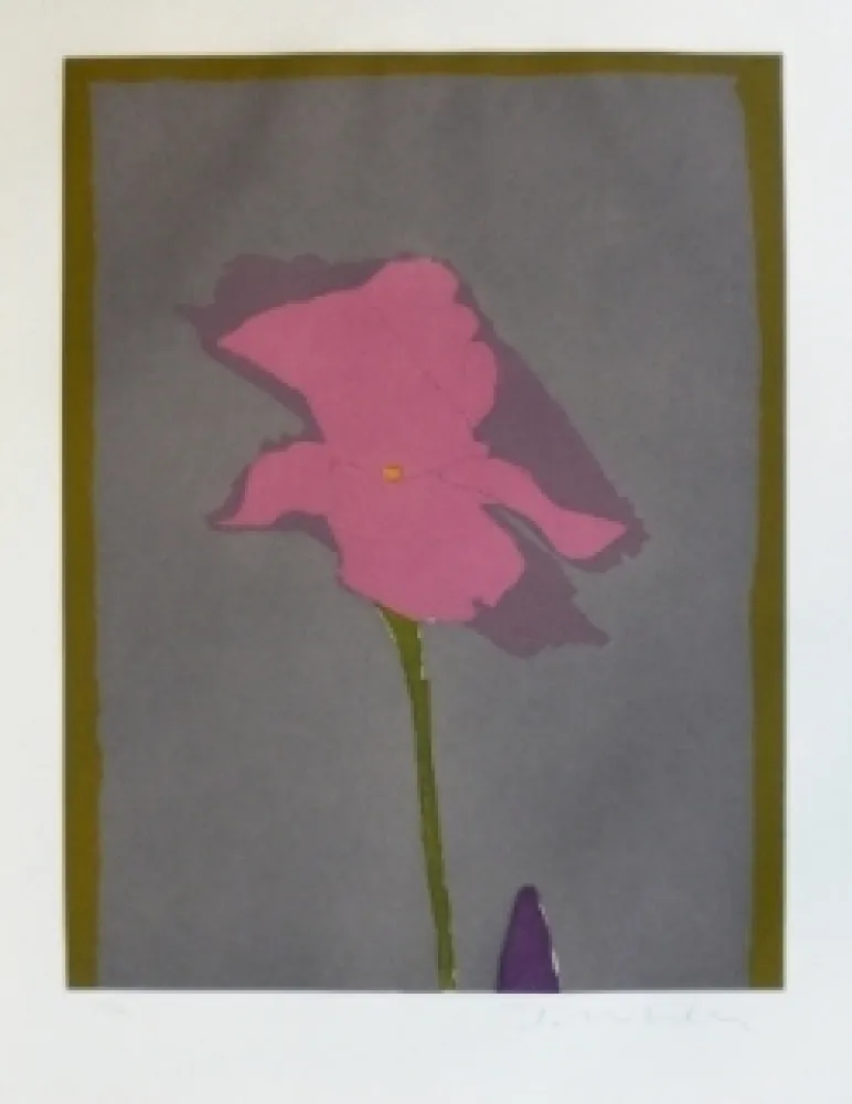Etching Scholder - Flower at Giverney 2