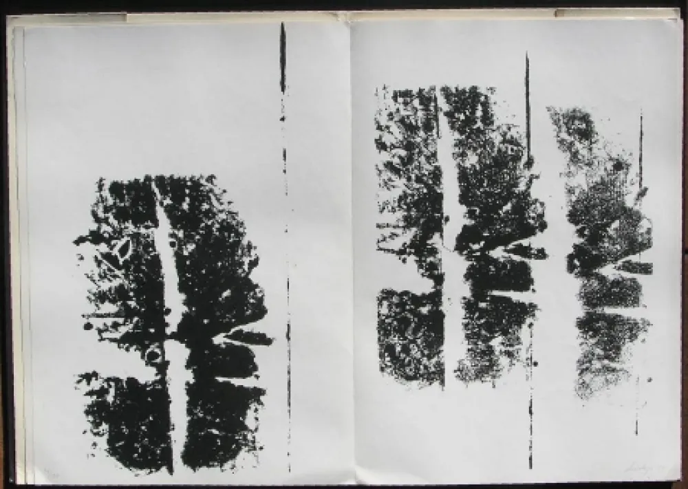 Illustrated Book Scialoja - Toti Scialoja. Quattro litografie