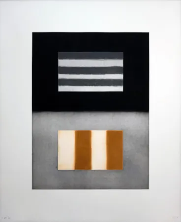 Etching And Aquatint Scully - Liliane 4