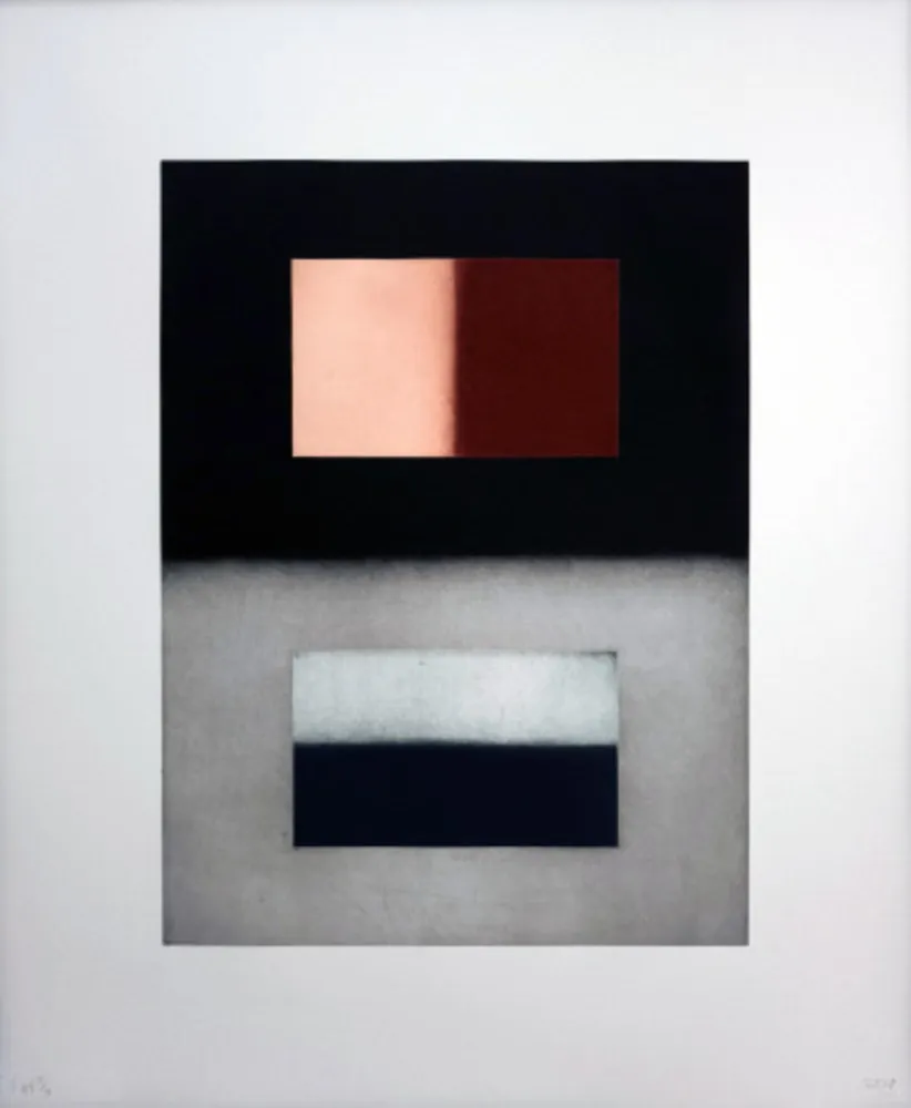 Etching And Aquatint Scully - Liliane 5