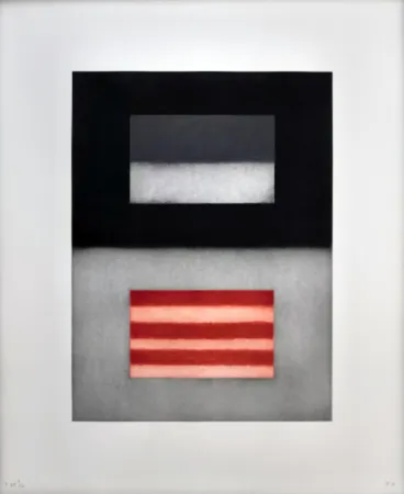 Etching And Aquatint Scully - Liliane 7